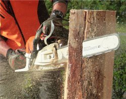 Chain saw oil