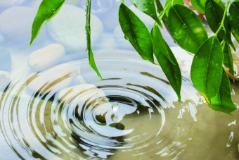 权威热门真实真人直播免费在线视频金刚平台  APRIL BIO-SYN HEES and we&rsquo;ll renew your BIO CERTIFICATION free of charge!